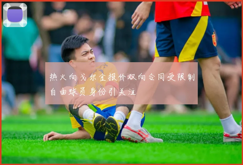 热火向戈尔金报价双向合同受限制自由球员身份引关注
